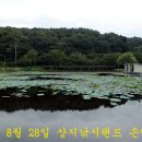비 오는 날 번출! 이미지