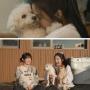 조이드림 이미지