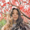 HYNN(박혜원) 전국투어(HYNN FOREST) 이미지