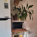 오소록스테이 이미지