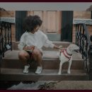 교리관광지 이미지