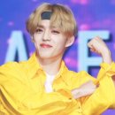 세븐틴 에스쿱스 일본 팬미팅 불참 컨디션 난조 프로필 본명 나이 신체 학력 가족 근황