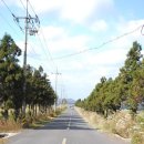 성지목장 이미지