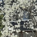 김영길공인중개사사무소 이미지