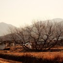 마실가는길