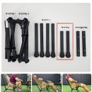 매드 고릴라 이미지