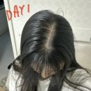 차공구 | 리필드 이팩터 내돈내산 10일차 후기 / 리필드공구 후기 / 그래비티샴푸내돈내산 / 리필드 2주 환불 방법