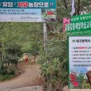 감골감동체험학습교육농장