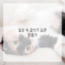 소설 쓰기의 첫걸음 이미지