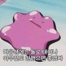아날로그76 네이버블로그
