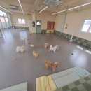 우다다 유치원 이미지