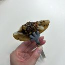 계피랑마요랑 이미지