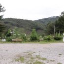 자연속의 펫 이미지