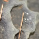 제주돌마을공원 이미지