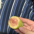 모노마트포항점 | 아마도 9월