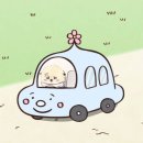(장애인)운전면허 취득 과정 후기