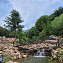 하나네트관광(주) | 강원도 계곡 캠핑장 화천 백숙 맛집 명월관광농원 능이 토종닭백숙 후기🥹🌸