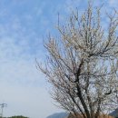 하늘풍경 - 전주시 완산구 향교길 51-13 | 하늘풍경