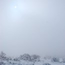 하얀천국 이미지