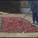 다은네일 이미지