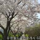 나루월드공인중개사사무소 이미지