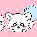 모몽가 이미지