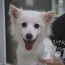 다루동물병원 이미지