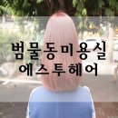 에스투헤어 - 북구 대학로23길 31 | 에스투헤어