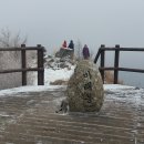 지리산 만복대 고리봉 세걸산 바래봉 철쭉산행 이미지