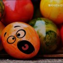 해피나라노인전문요양원 이미지