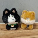 [네이버페이이벤트] 페이펫 인형 모아,보니,리치 페이펫 키링 후기
