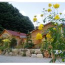 진동계곡산장2 이미지