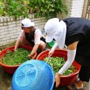 연계마을여성경로당 이미지