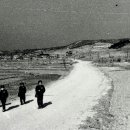 최유경 효자비 이미지