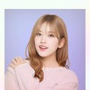 이쁜댕댕이