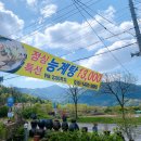 화원일송정