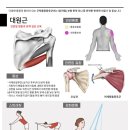 봉담정성365한의원 이미지