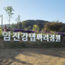 삼곶리 주민쉼터 | 분홍댑싸리 물결 연천 임진강댑싸리정원