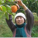 정옥농장 이미지