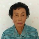 서수경로당 Daum카페