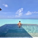 (주)코리아벨리 | 몰디브 아난타라 벨리 최저가 도전! 악당강아지 단독 2월 한정 마지막 공동구매 특가