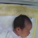 힐링 수채화교실 | ~은평구 아이젤 산후조리원~ 2주 간 지낸 힐링 후기 😚✌️