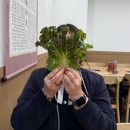 [판교 테크노밸리 점심 추천] 규식당 순두부찌개ㆍ쭈꾸미볶음 점심 메뉴 솔직후기