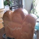 오늘의빵 이미지