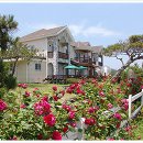 뜰앞바다 이미지