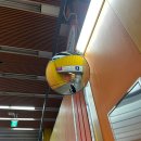 인준목장 | 7월의 일상을 모아모아 (논문 마무리 / 놀고 / 먹고 / 마시고)