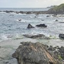 동유중기 이미지