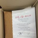 골든큐 | 산후탈모 심해진 7개월 차 육아맘의 큐어블 스칼프 에니그마 샴푸 솔직 후기