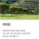산단로1 이미지