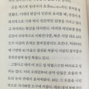 알레프 ALEPH 얼마나 발칙해도 될까 문장수집가 러블리순이 산문집 추천